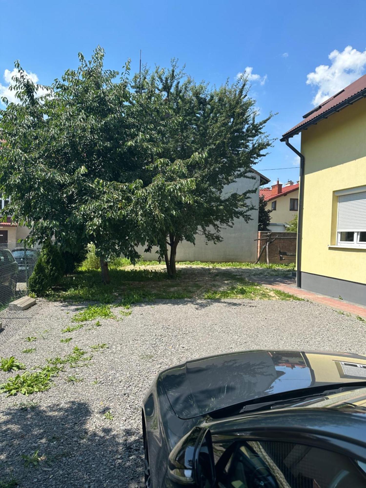 Mirabella House Lejlighed Rzeszów Eksteriør billede